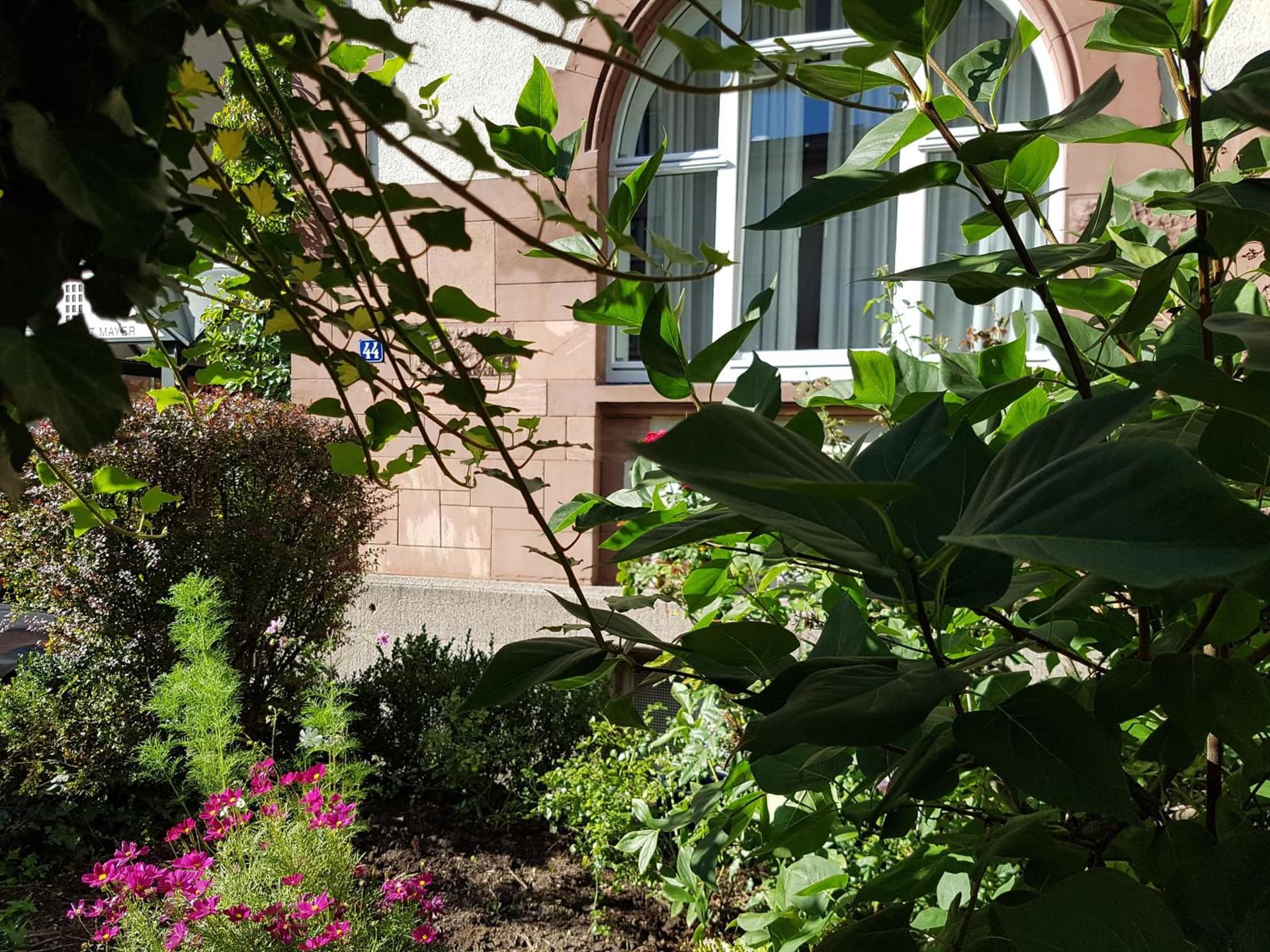 Hotel Robert Mayer