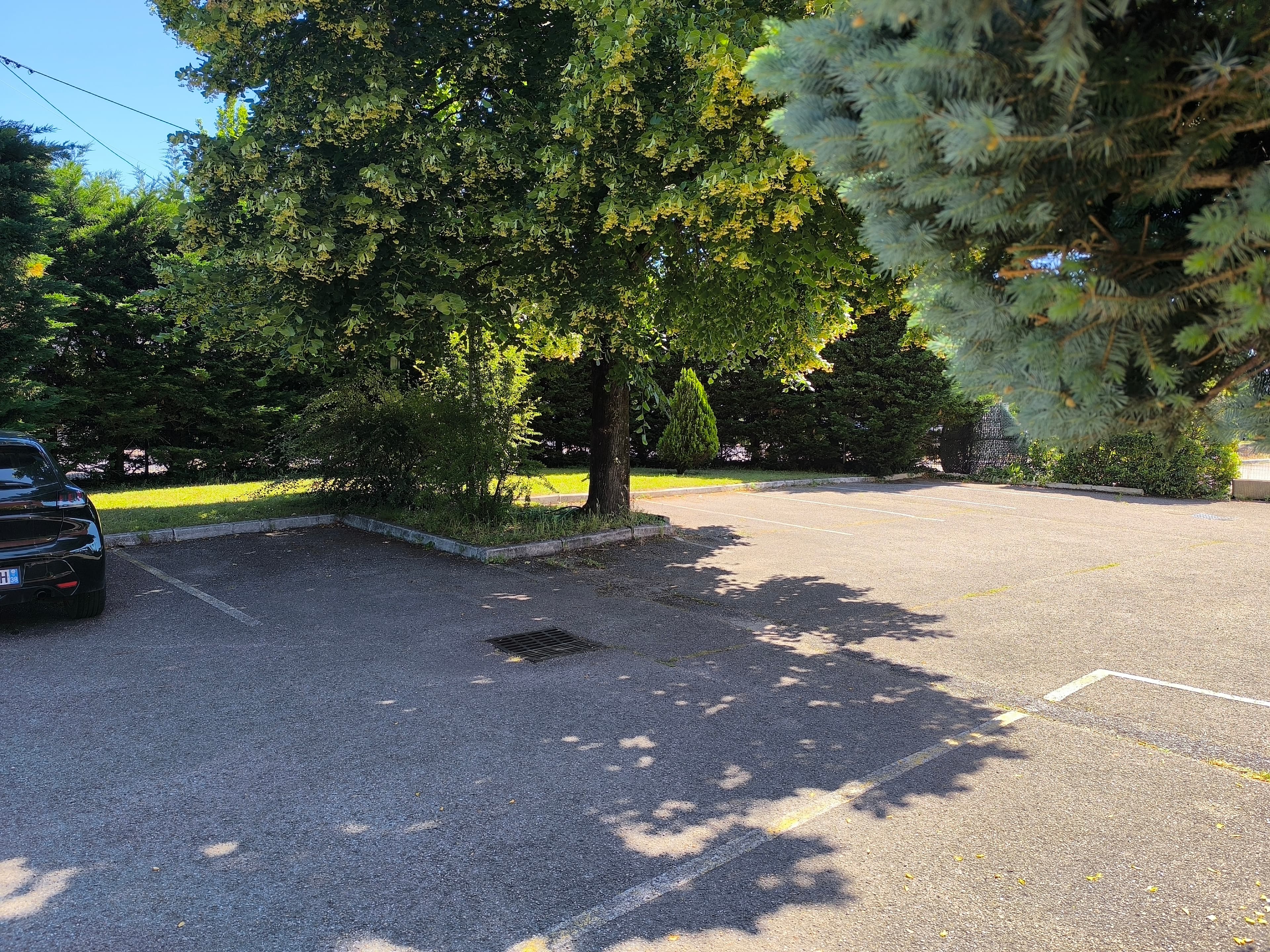 Adonis Lyon Est Artys Hotel