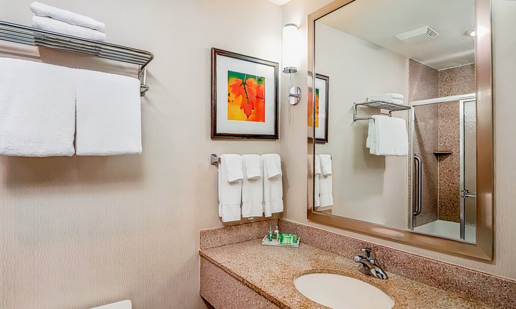 Holiday Inn Stevens Point - Convention Center