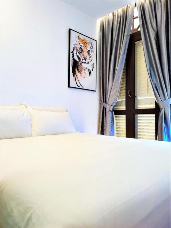 Hotel 1887, The New Opera House