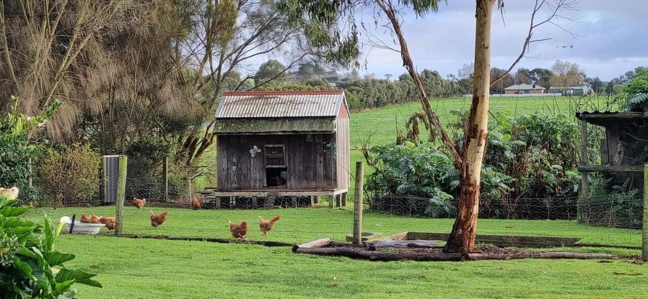 Colac Otway Caravan & Cabin Park