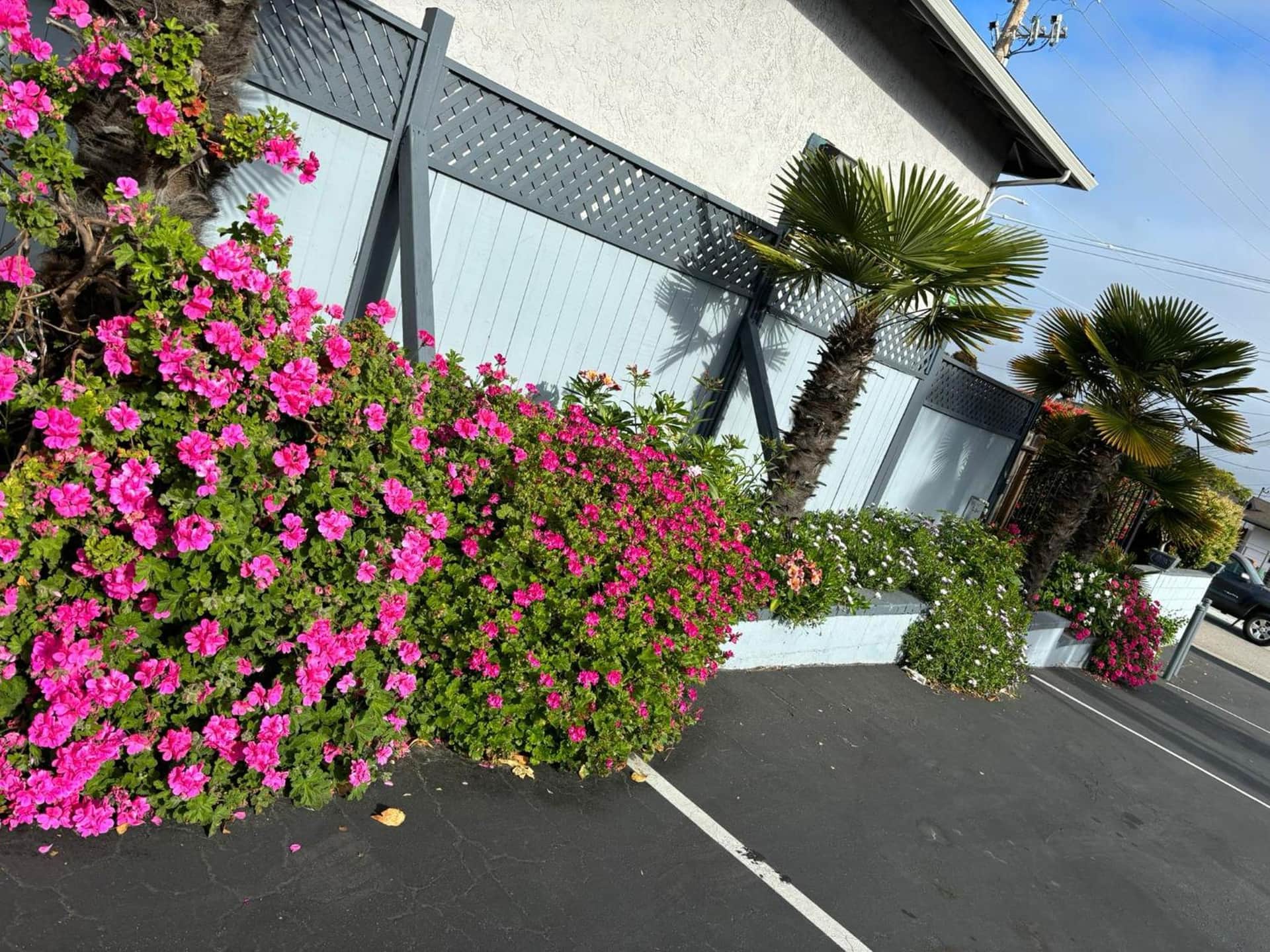 The Monterey Fireplace Inn