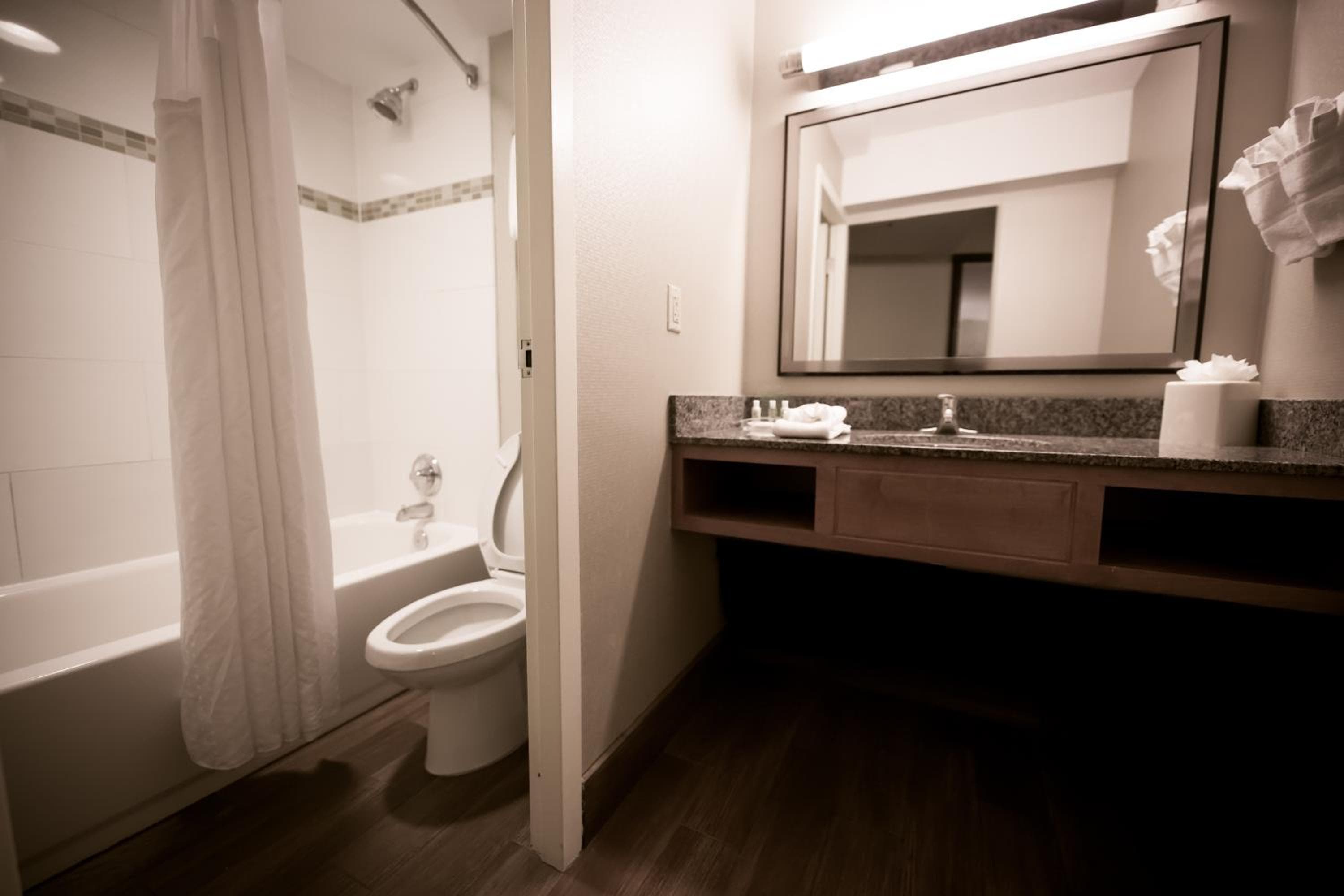 Holiday Inn Raleigh Downtown, an IHG Hotel