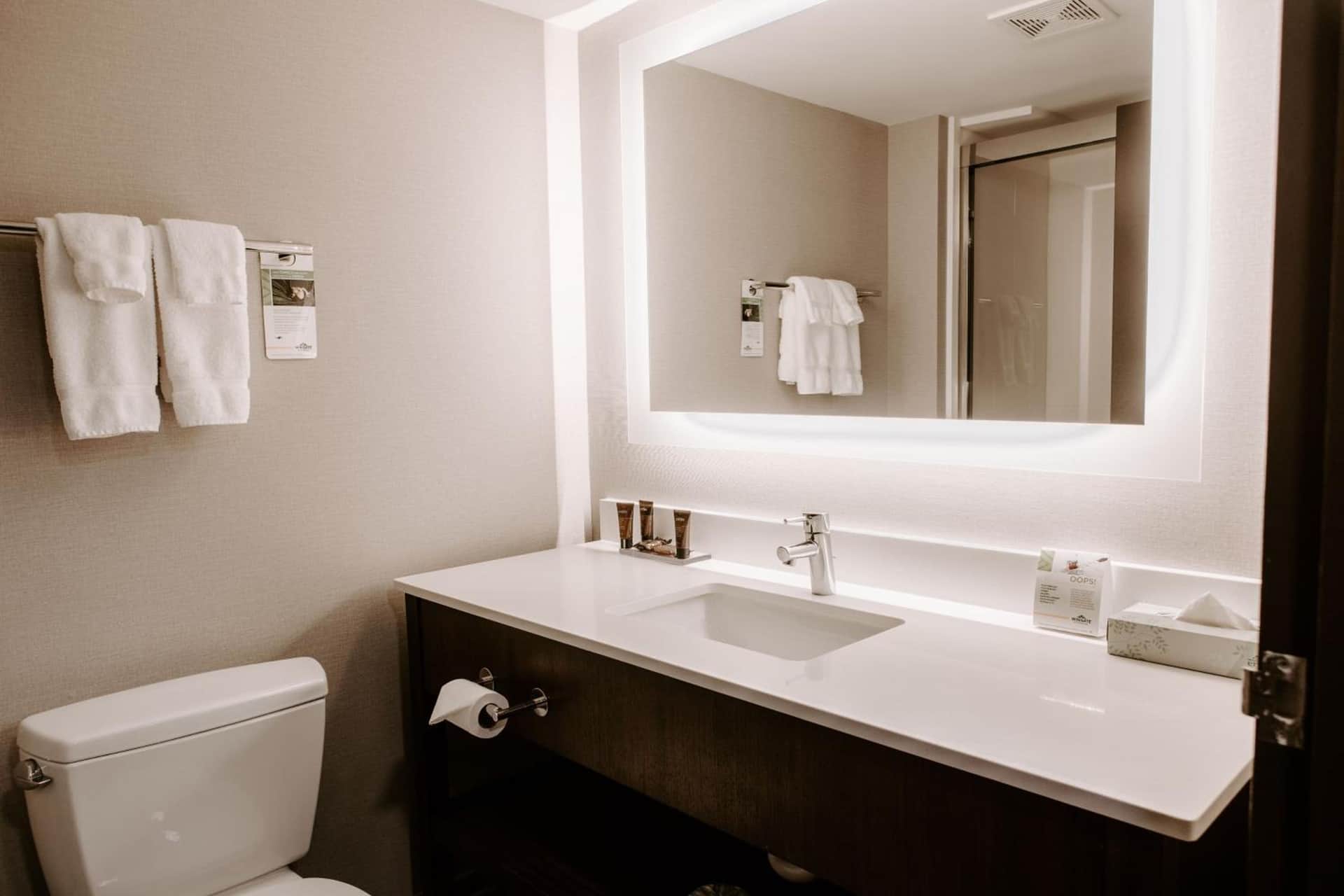 Wingate by Wyndham Chantilly / Dulles Airport