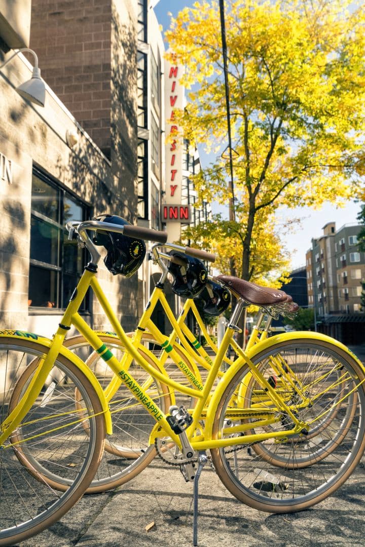 Staypineapple, University Inn, University District Seattle