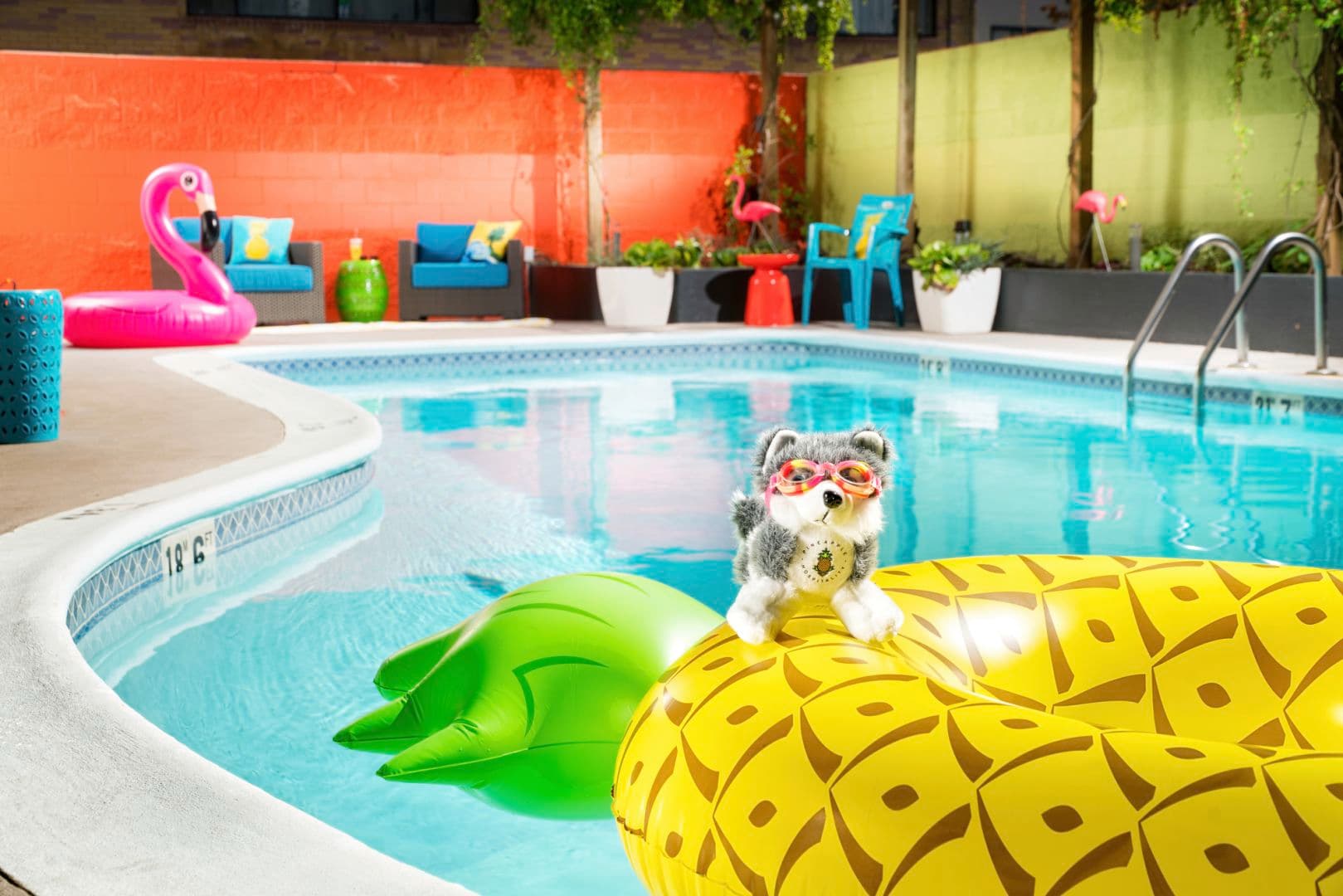 Staypineapple, University Inn, University District Seattle