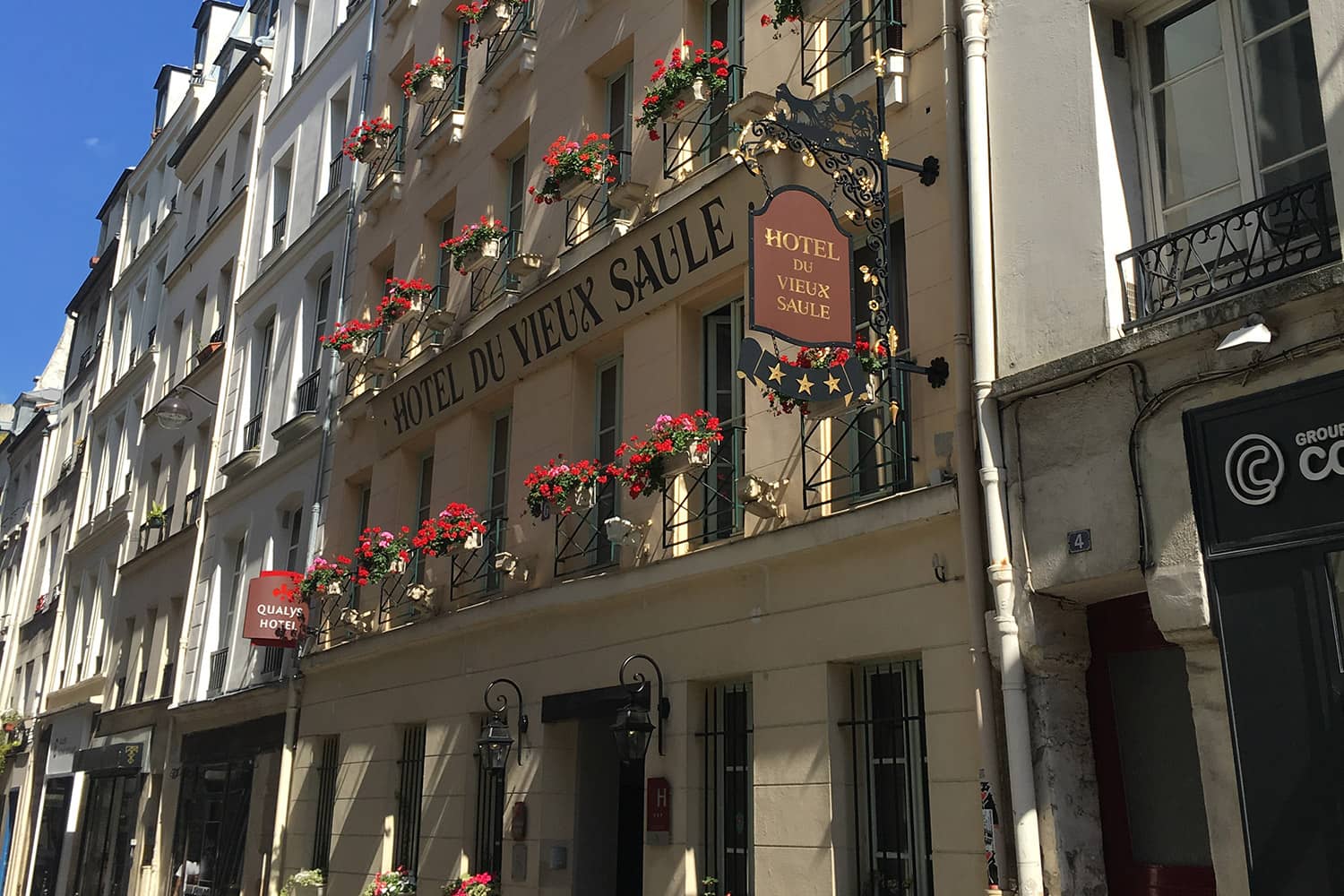 Hôtel Du Vieux Saule